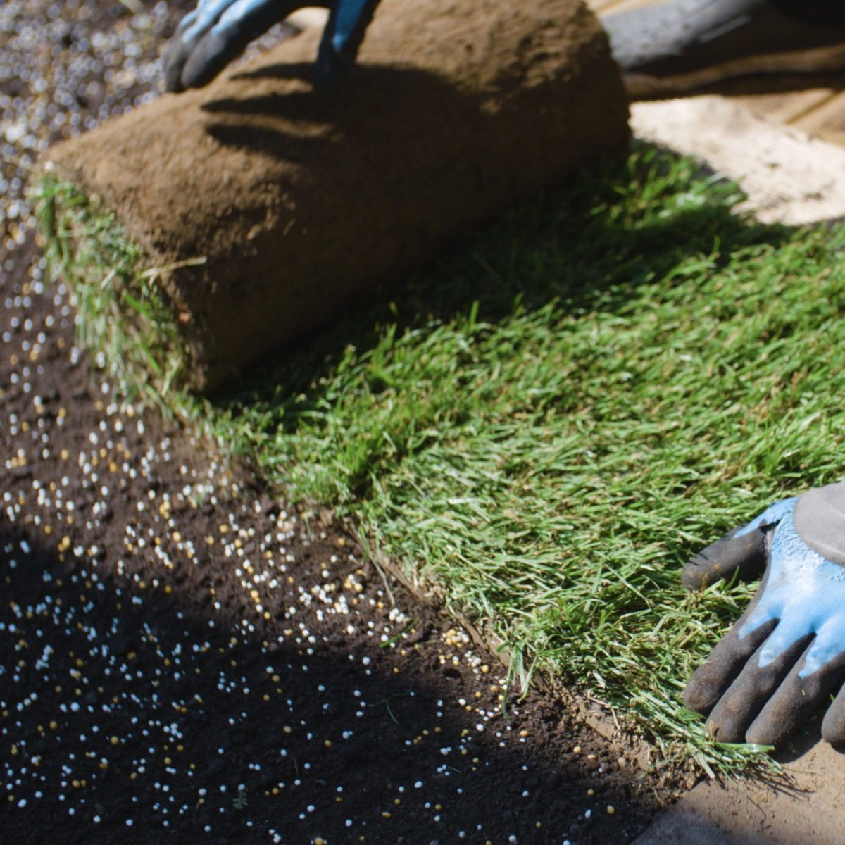 EasyGreen Family- Turfgrass for Gardens, Parks and City Greens.